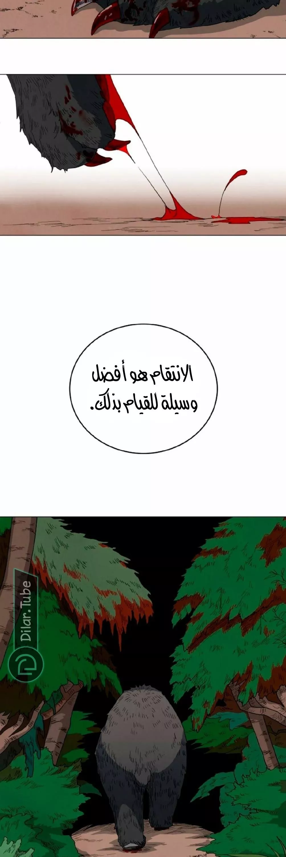 الصفحة 17