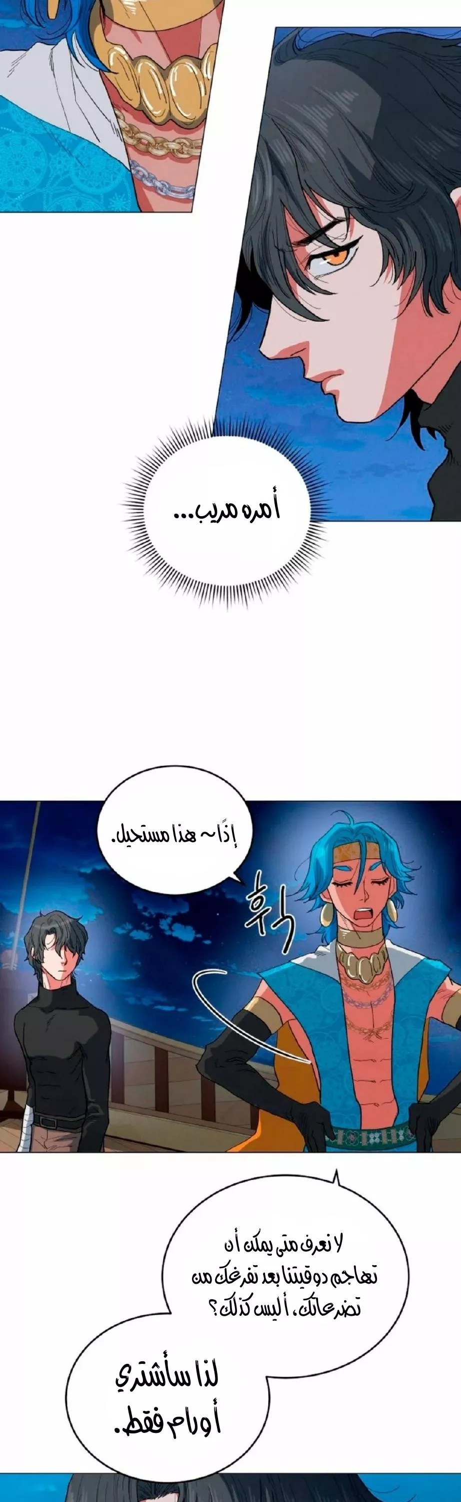 الصفحة 28