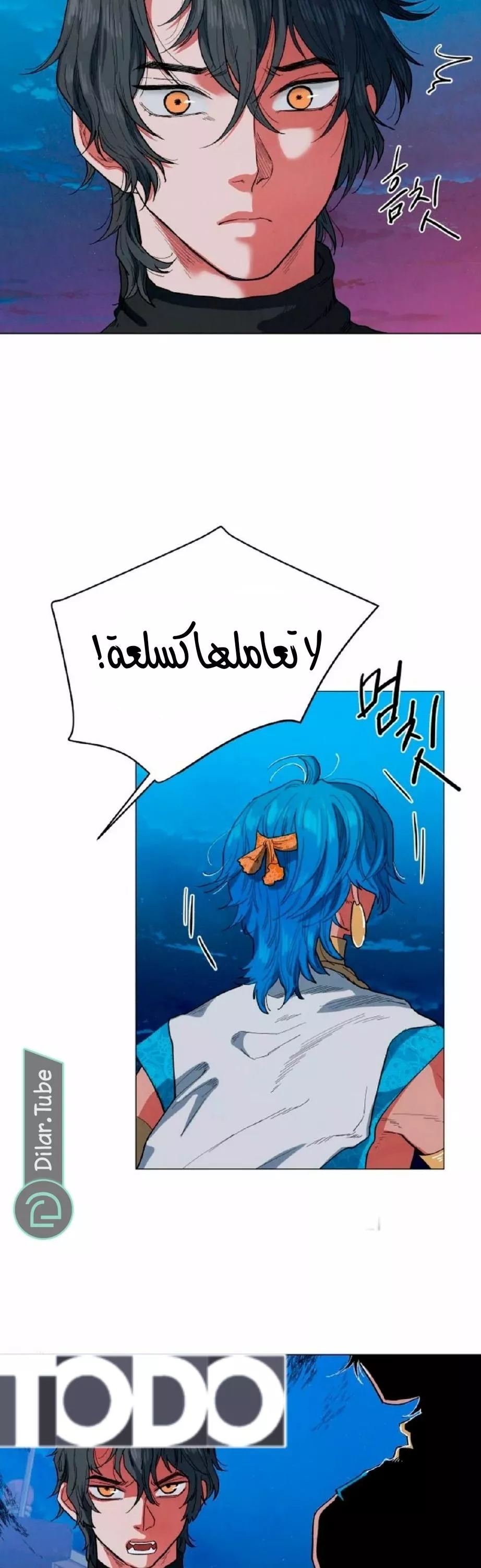 الصفحة 29