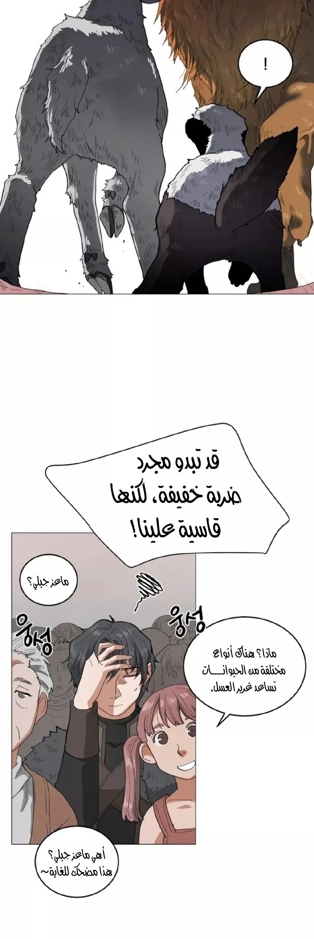 الصفحة 21