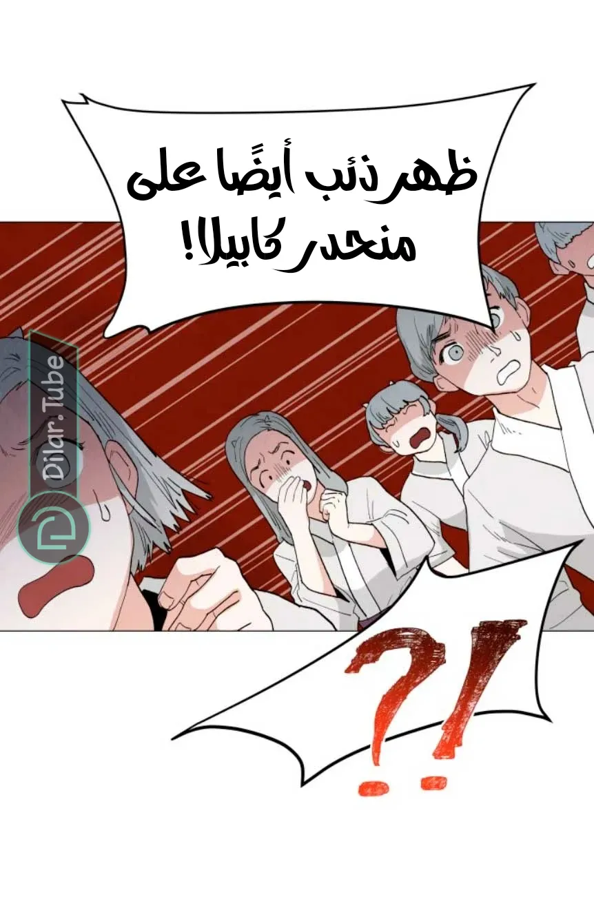 الصفحة 5