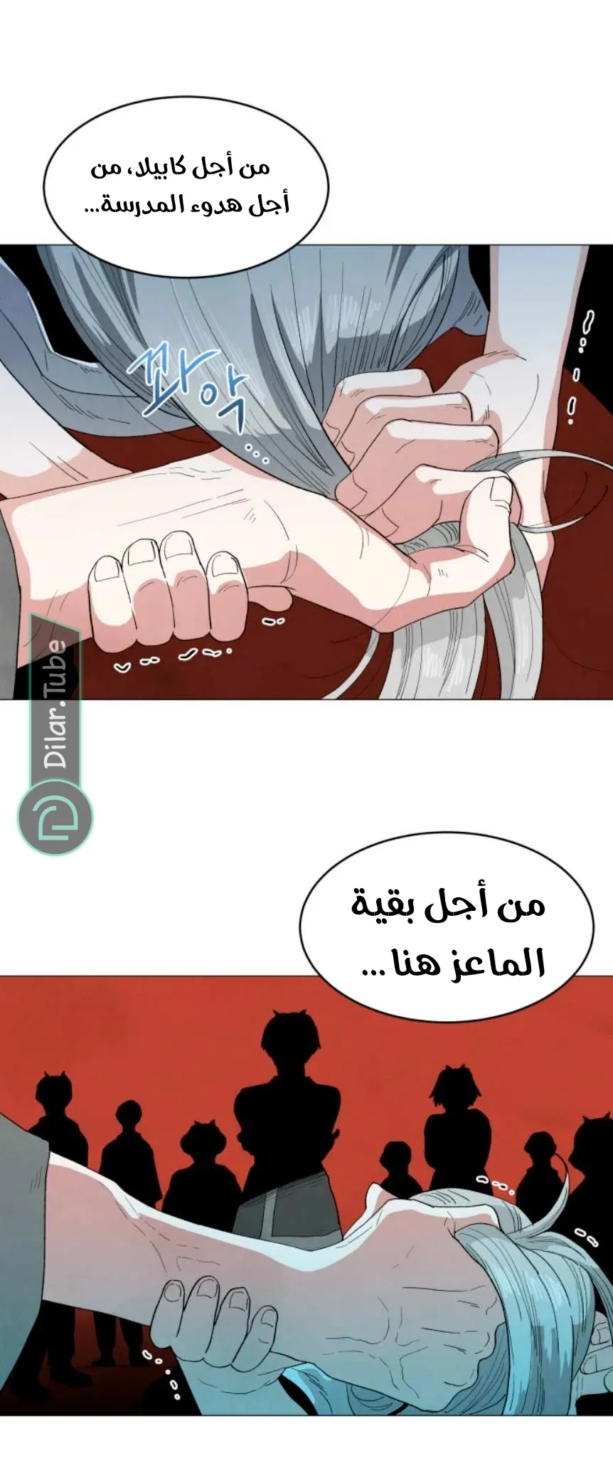 الصفحة 29