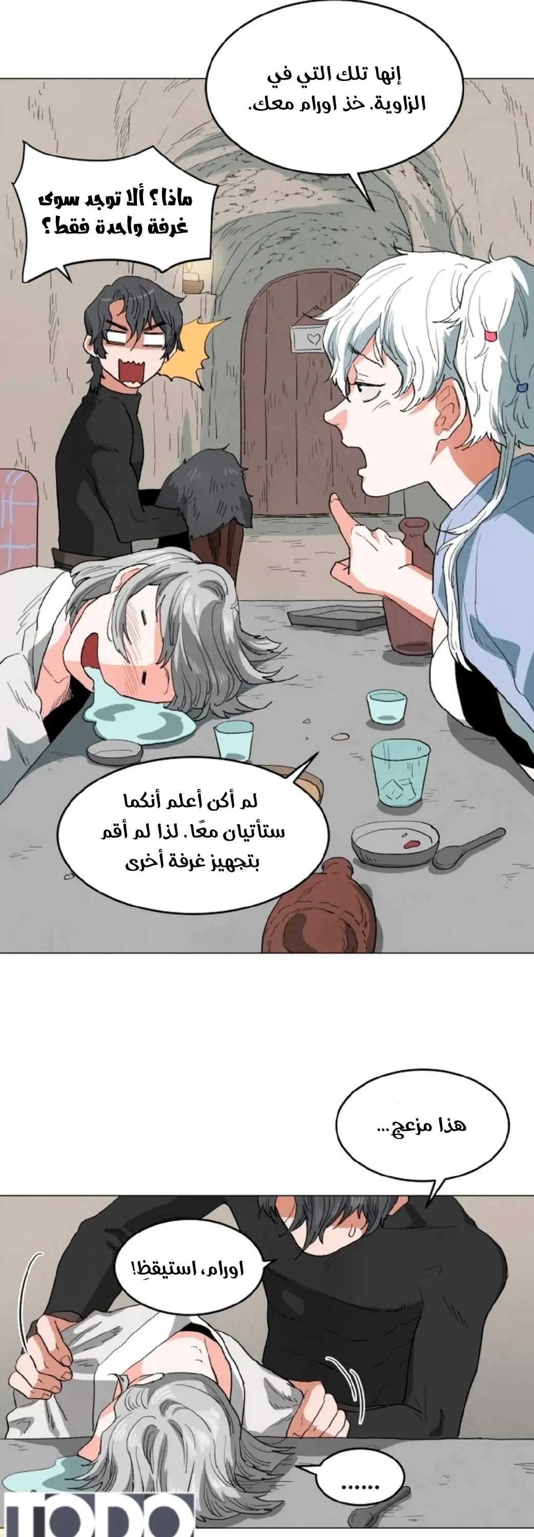 الصفحة 13