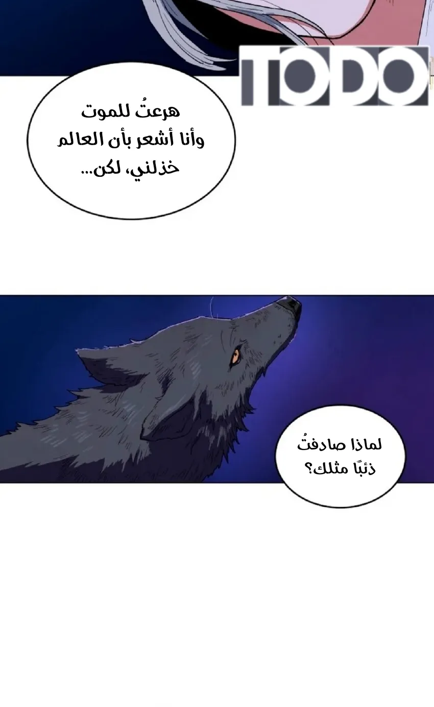 الصفحة 24