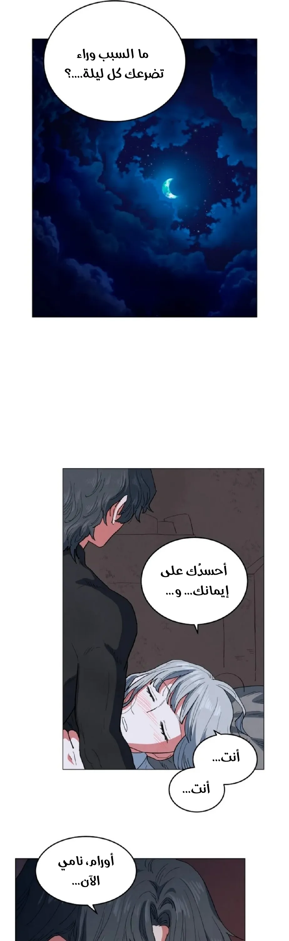 الصفحة 25