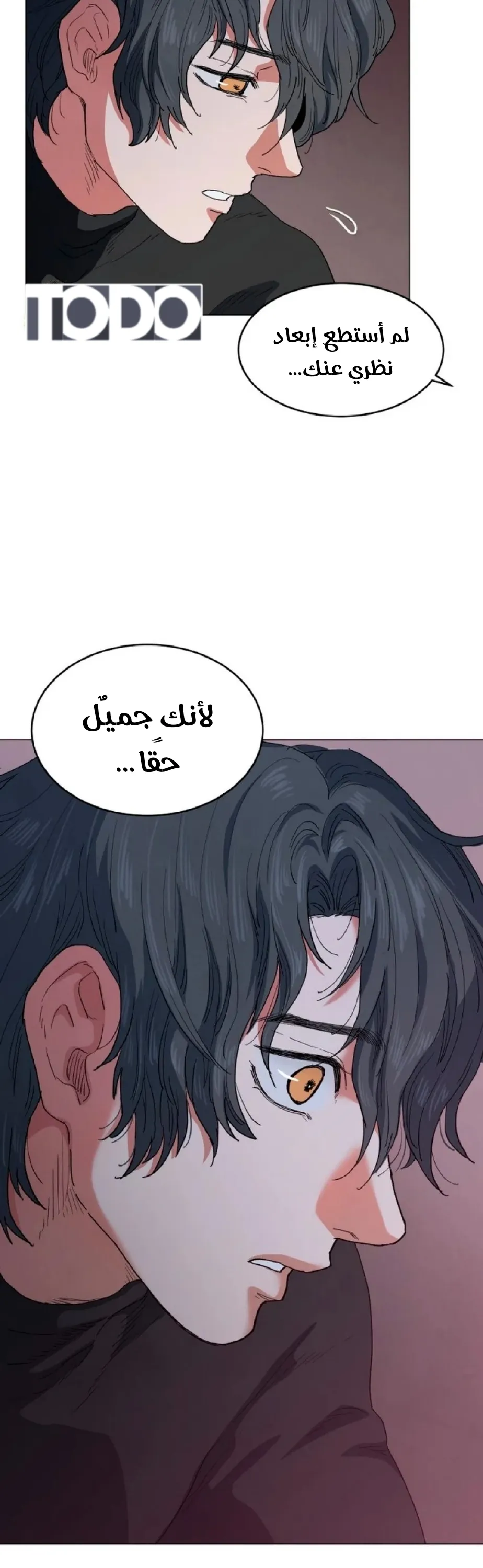 الصفحة 26