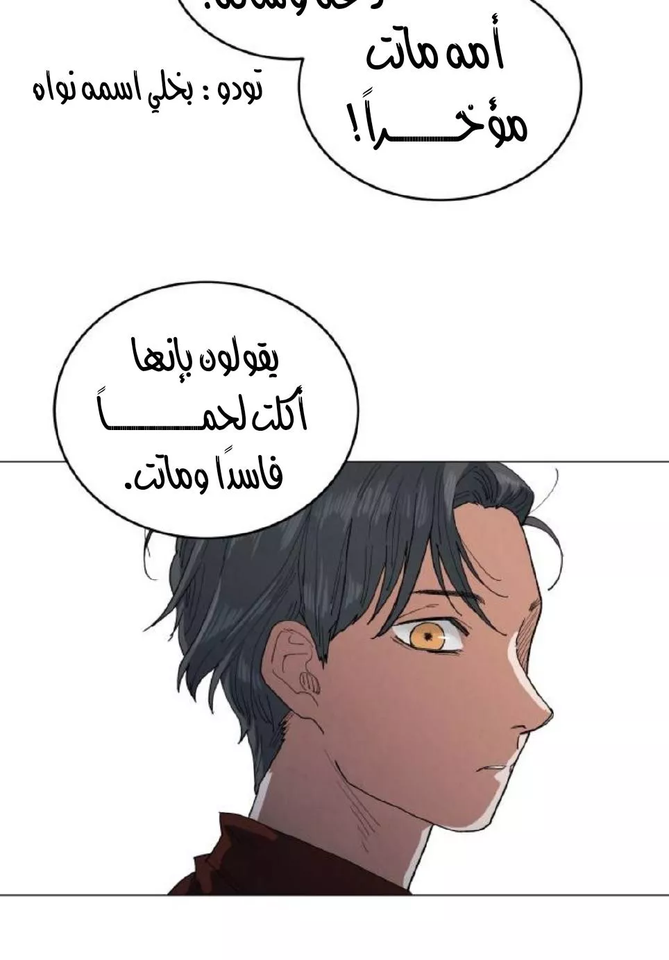 الصفحة 13