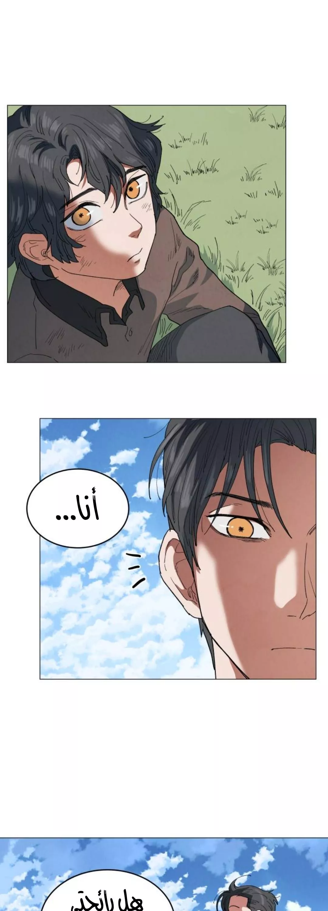 الصفحة 17