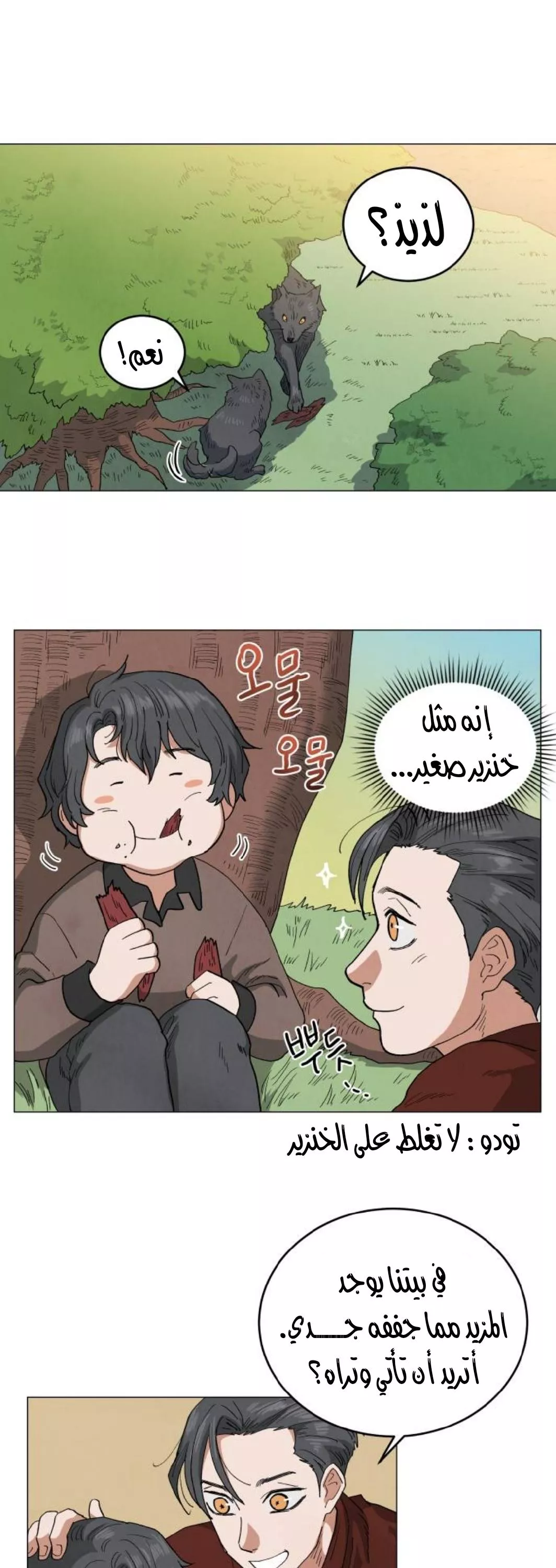 الصفحة 21
