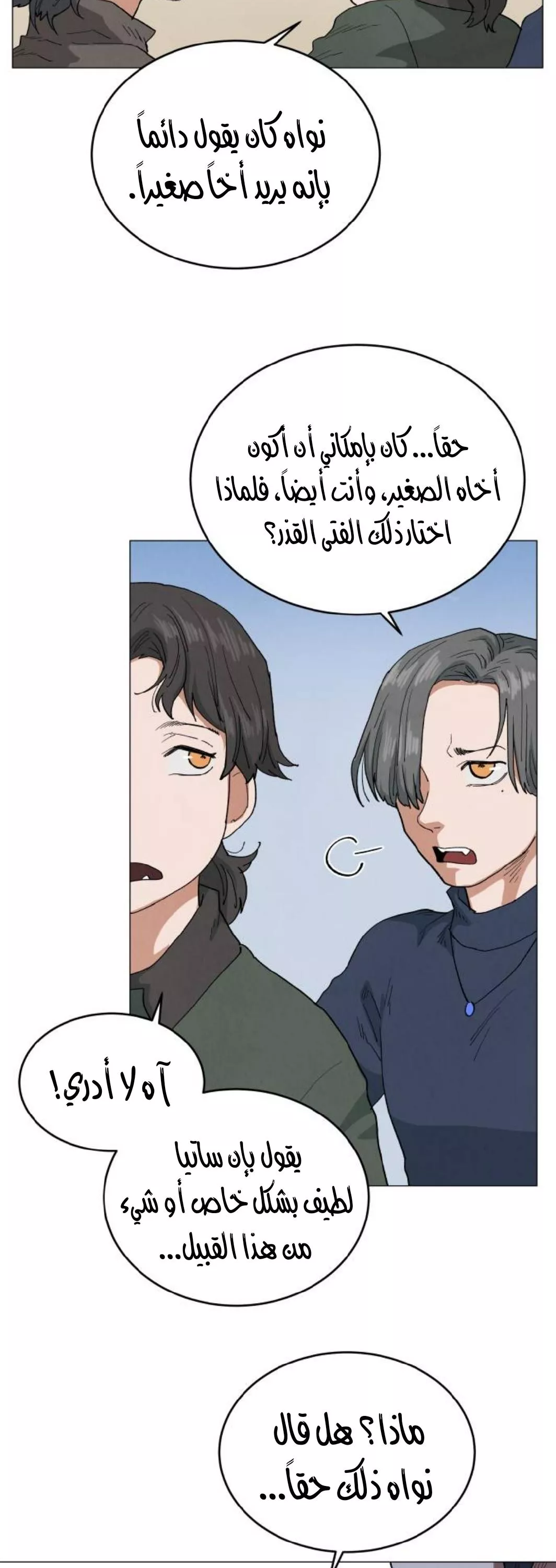 الصفحة 25