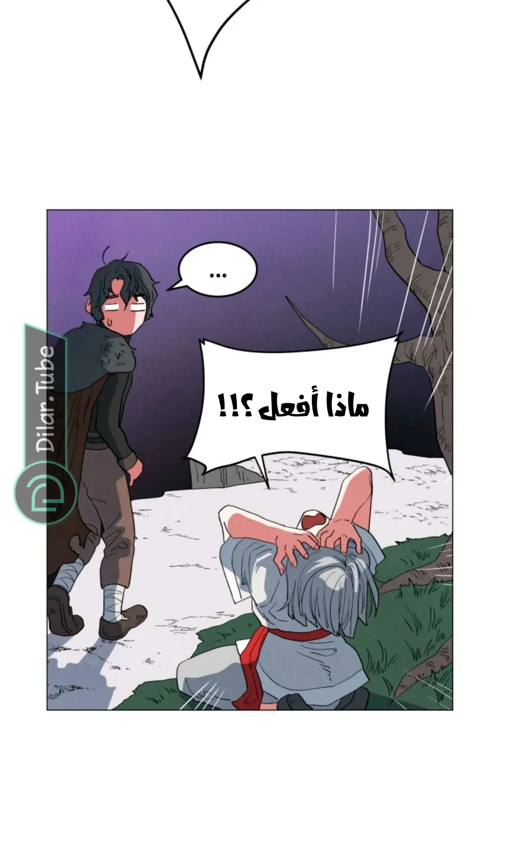 الصفحة 11