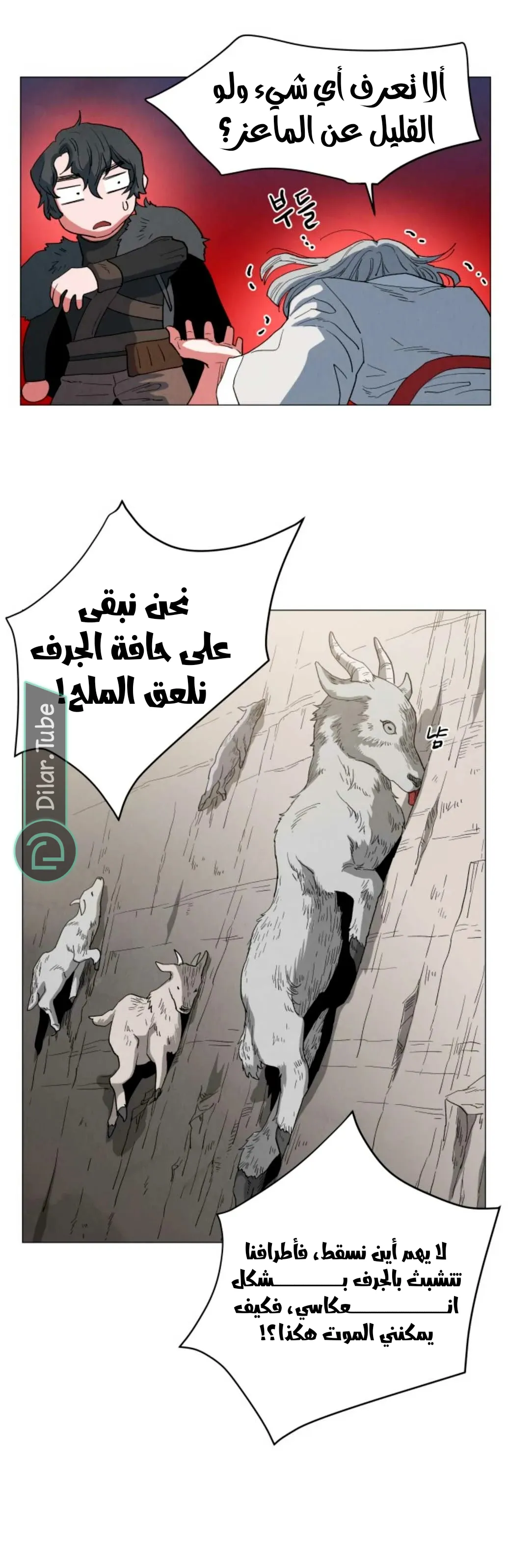 الصفحة 13