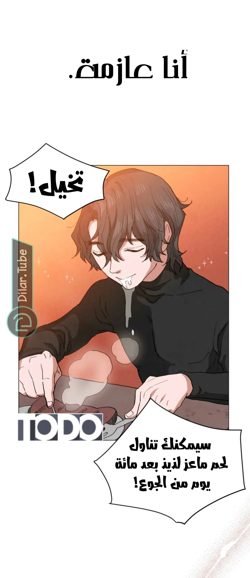 الصفحة 19