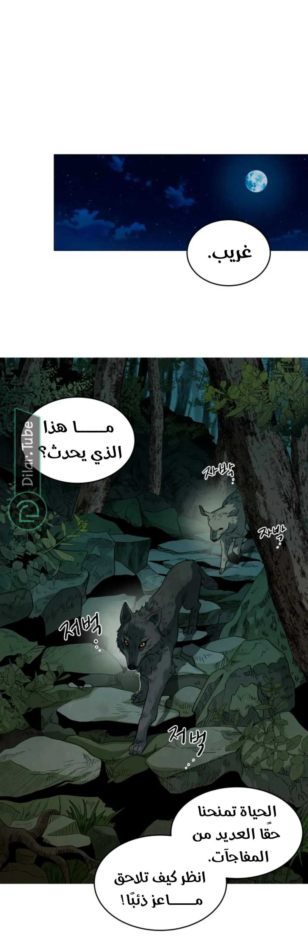 الصفحة 36