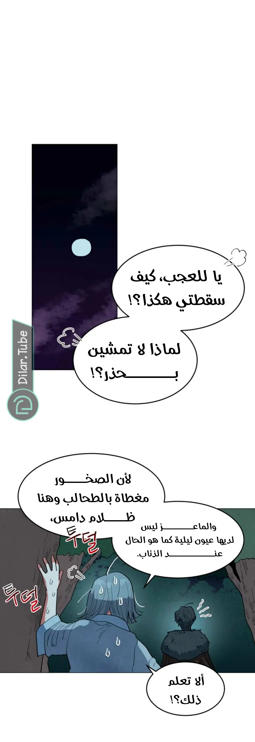 الصفحة 43