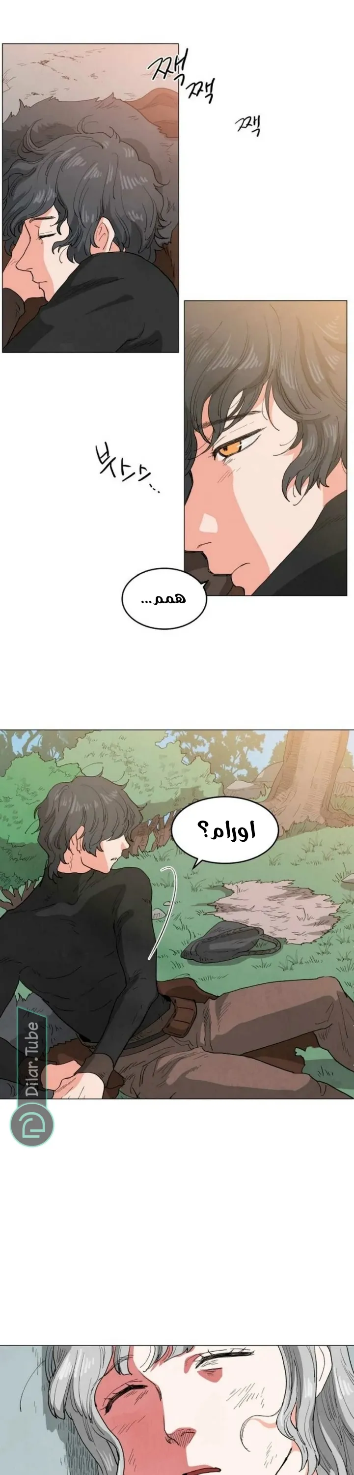 الصفحة 27