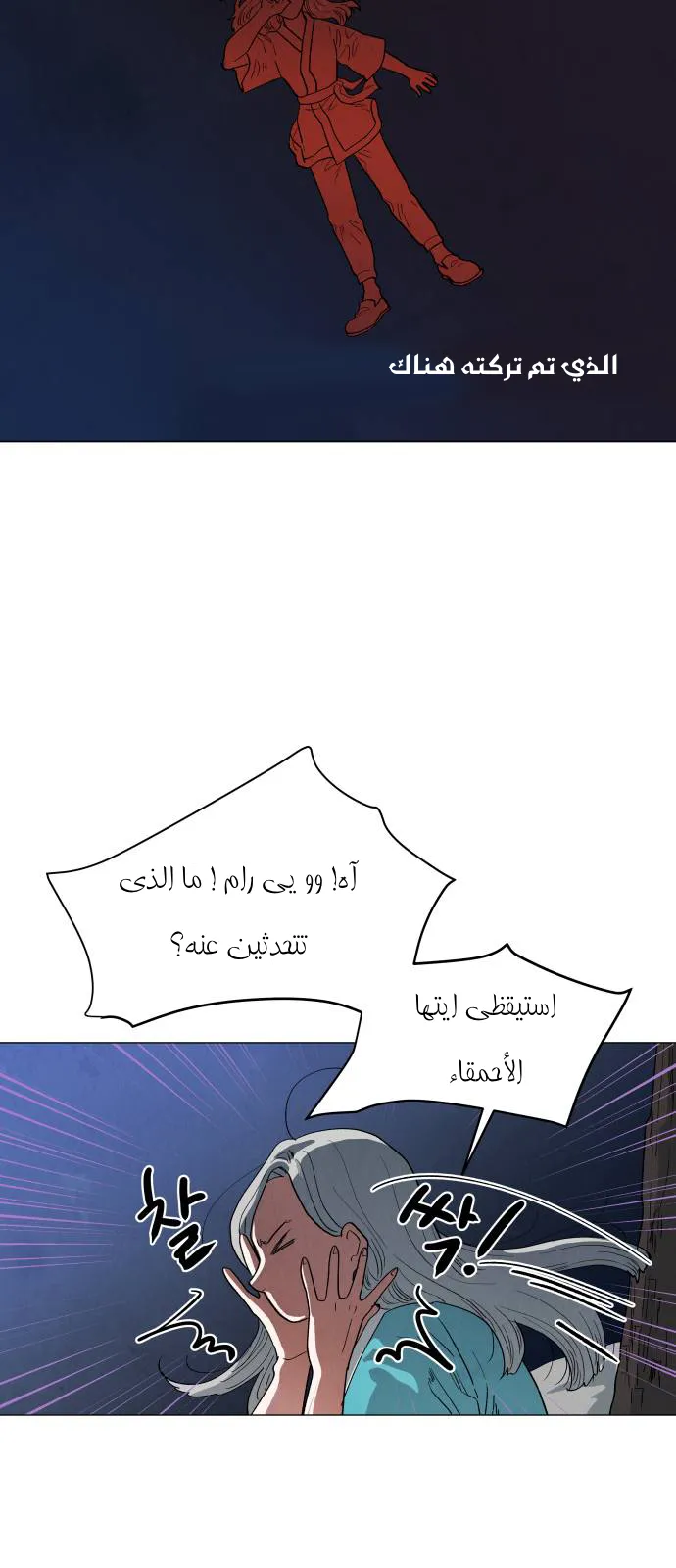 الصفحة 41