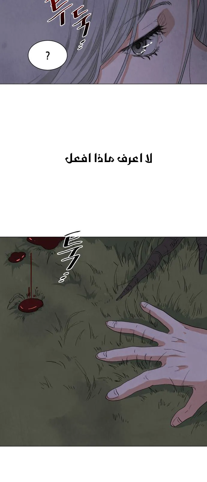 الصفحة 44