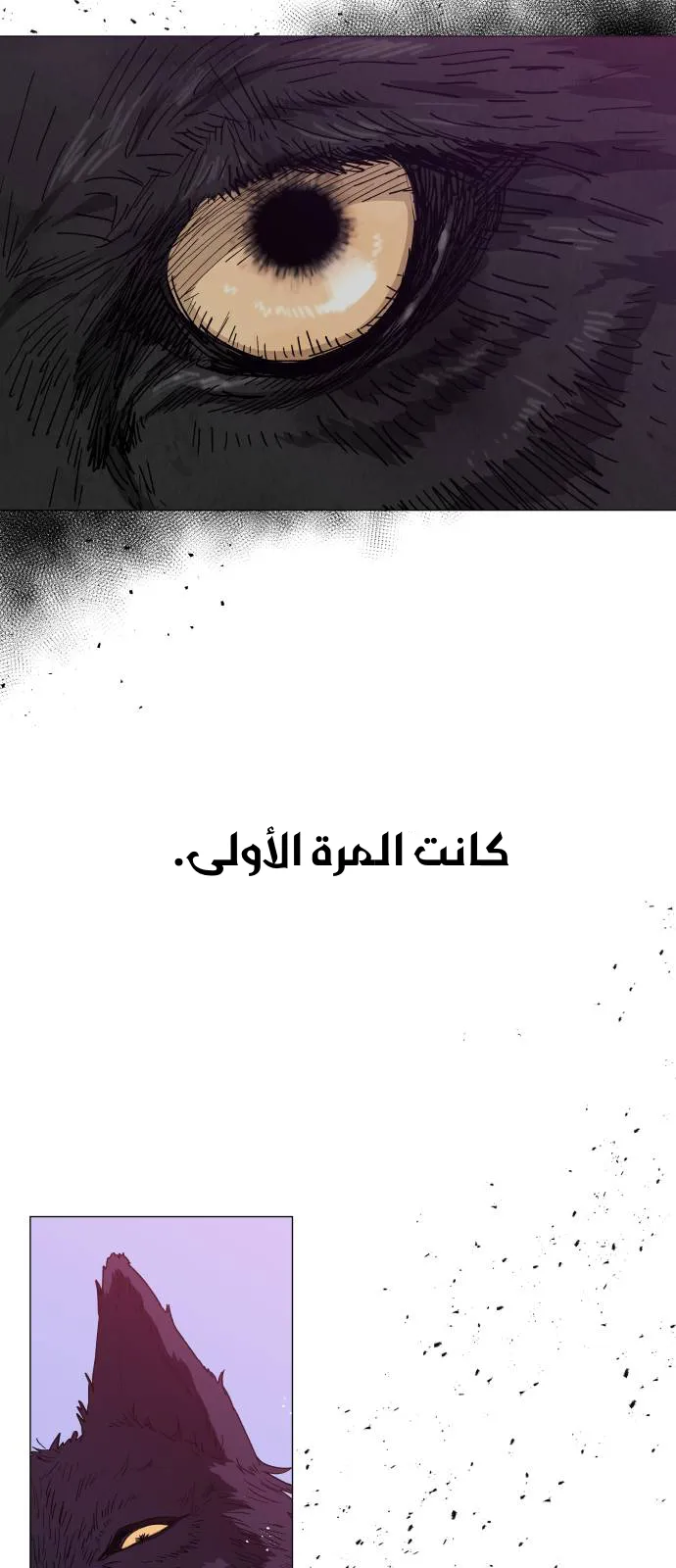 الصفحة 50