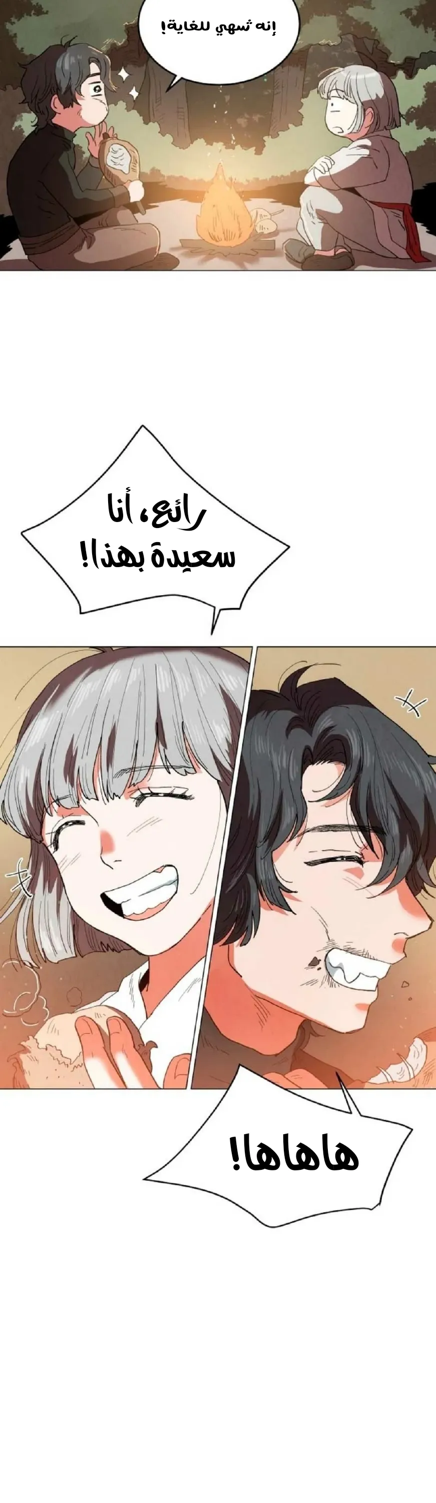 الصفحة 14