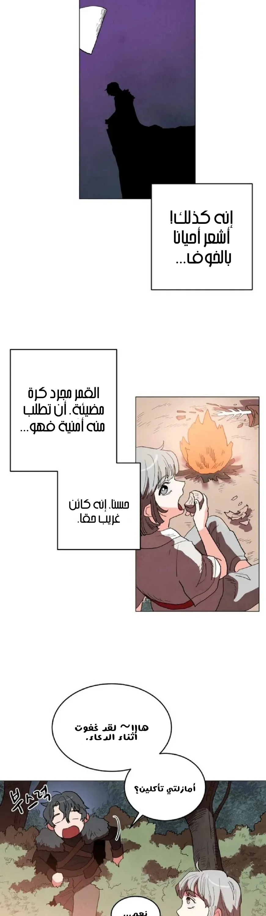 الصفحة 16