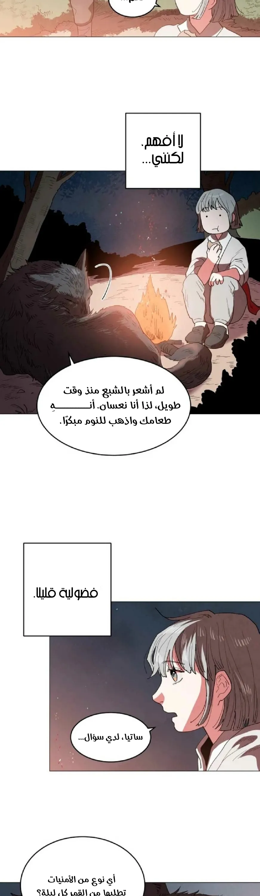 الصفحة 17