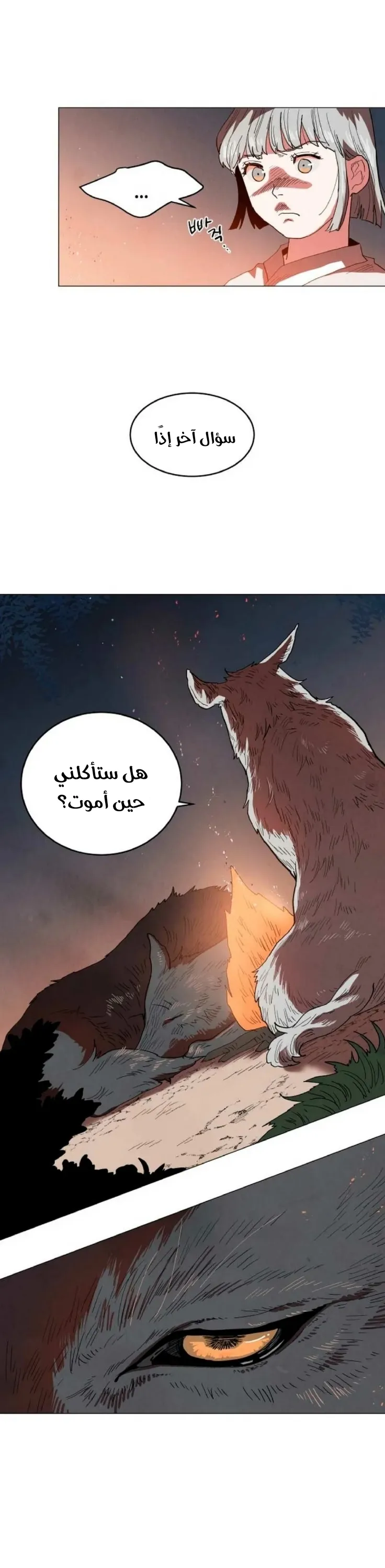 الصفحة 20