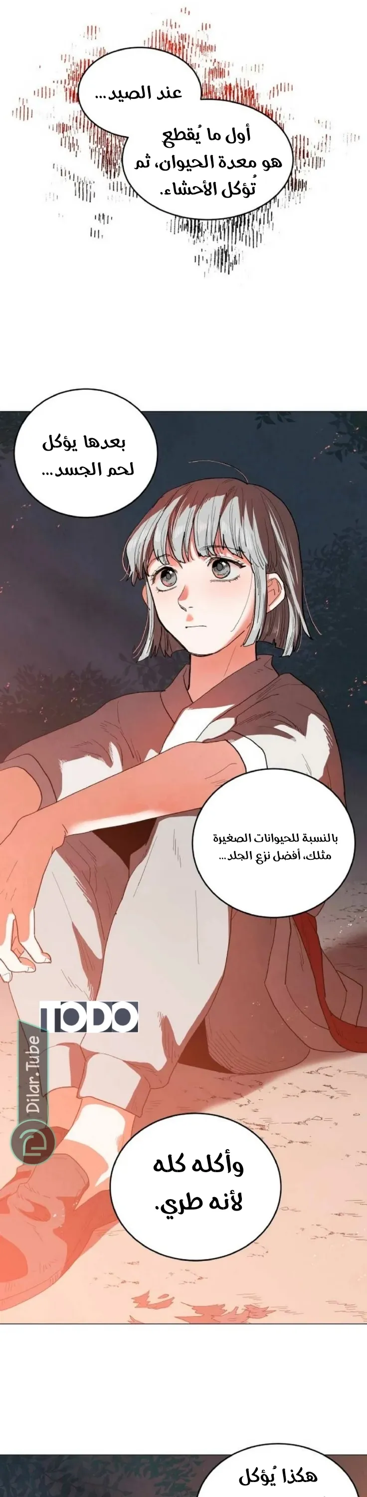 الصفحة 21