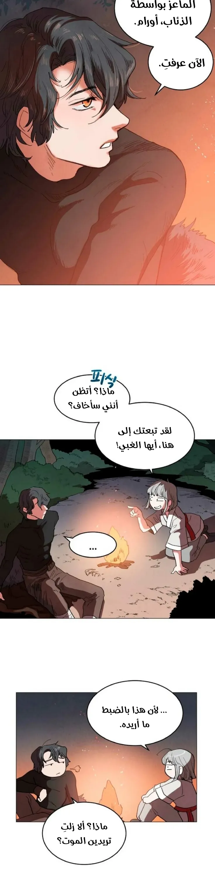 الصفحة 22