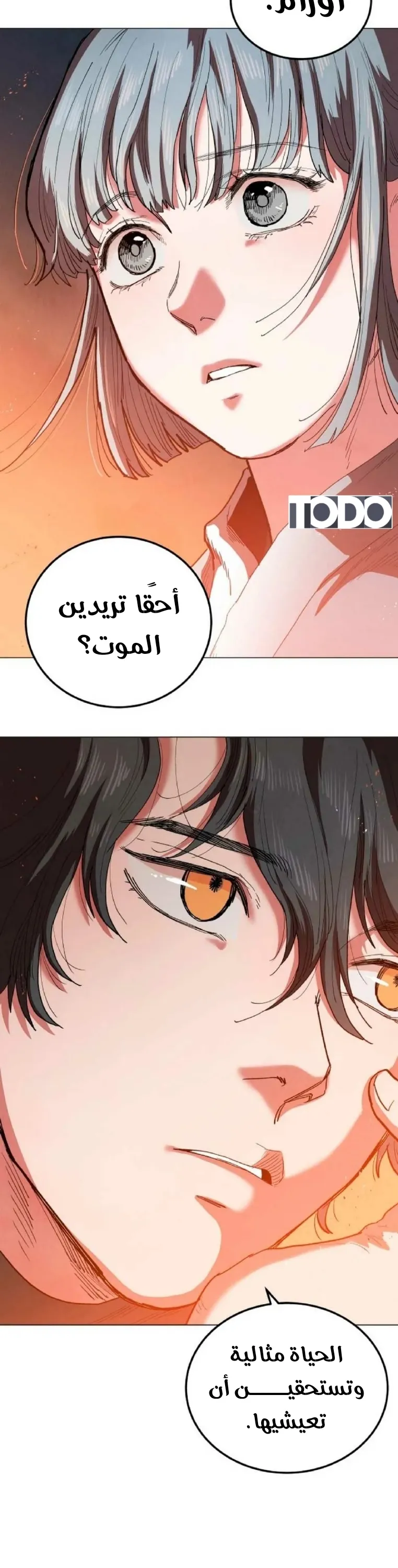 الصفحة 29