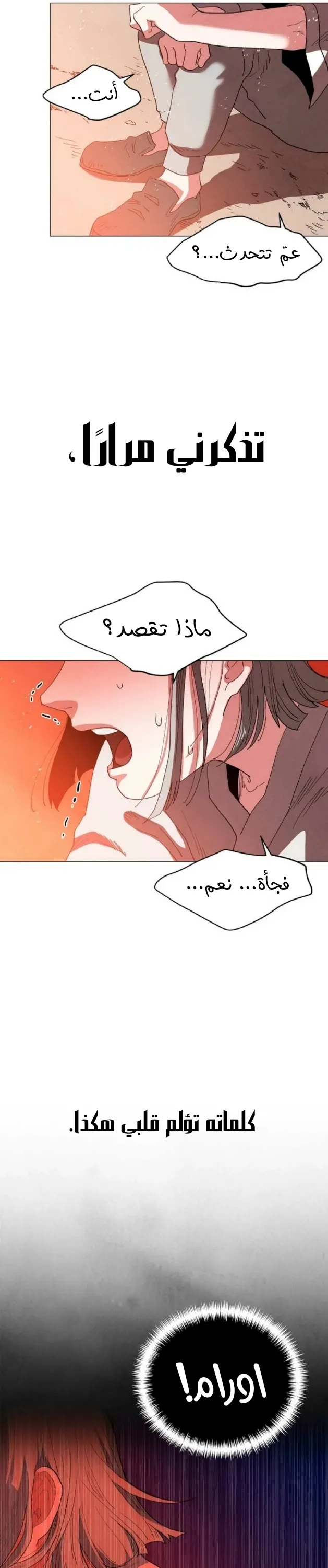 الصفحة 31