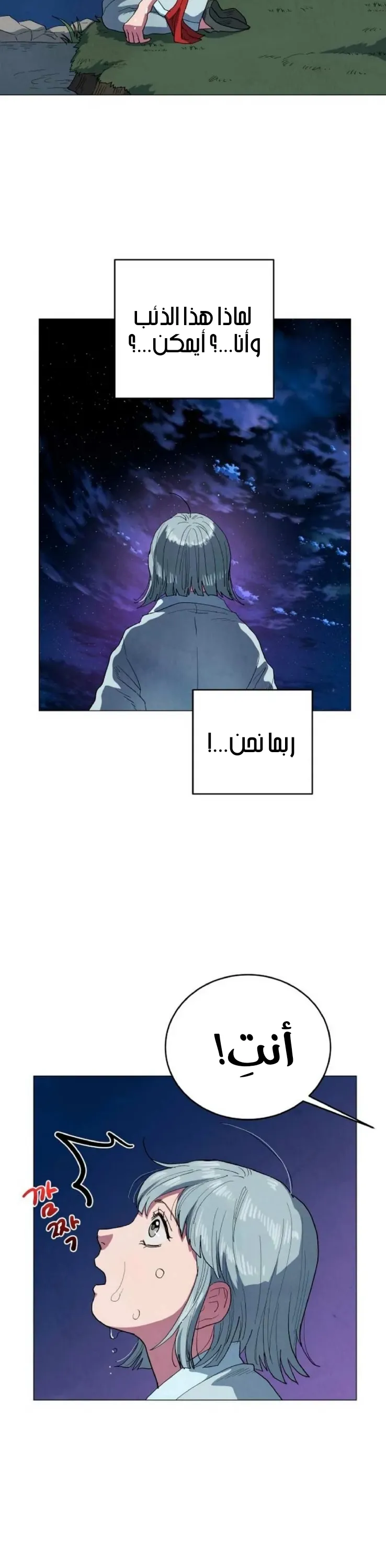 الصفحة 38