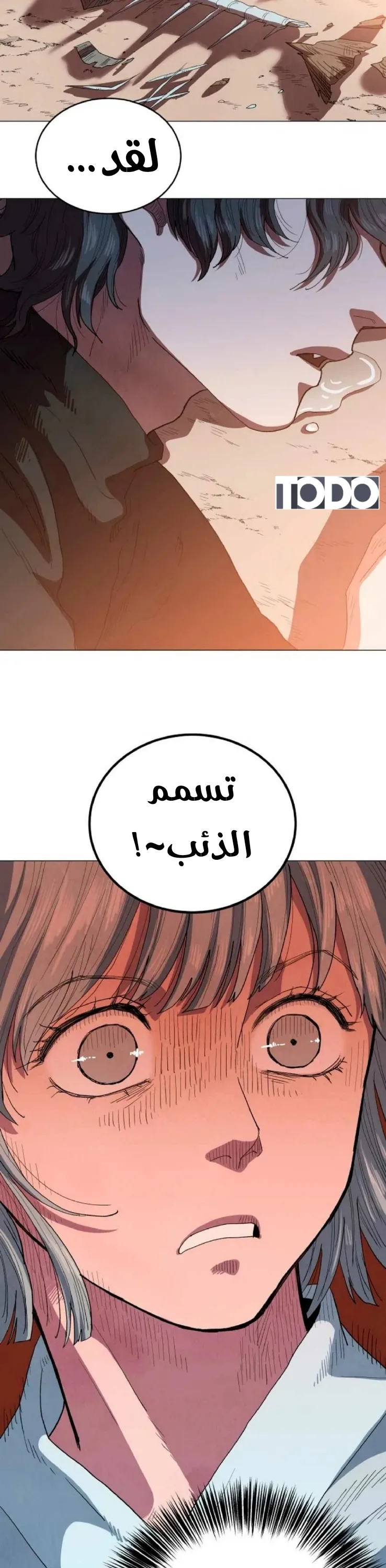 الصفحة 41