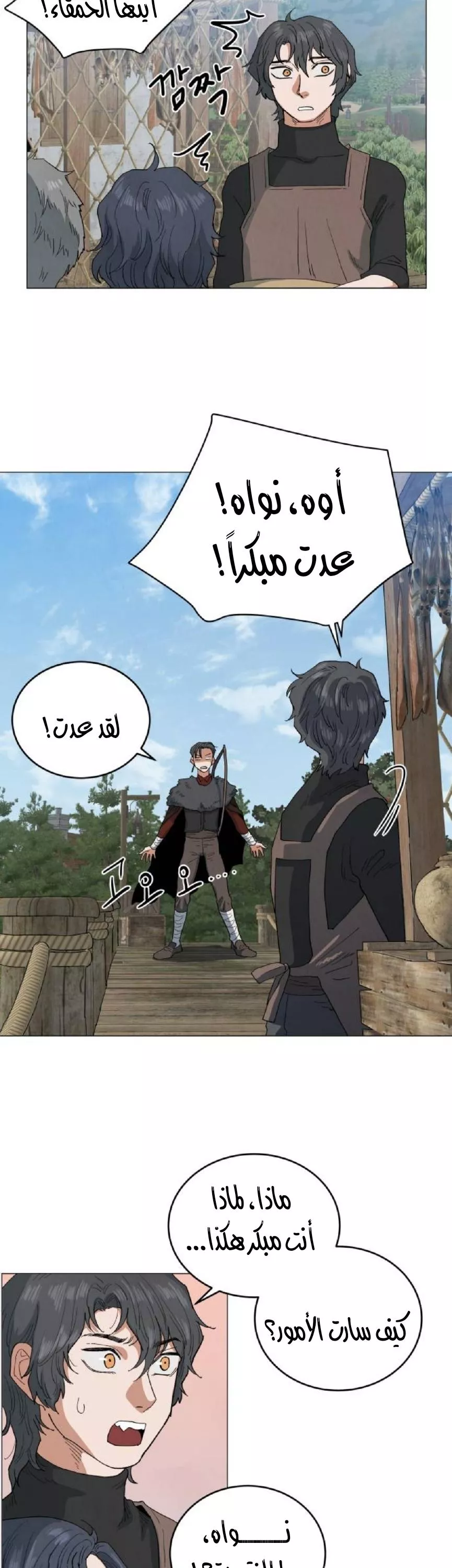 الصفحة 12