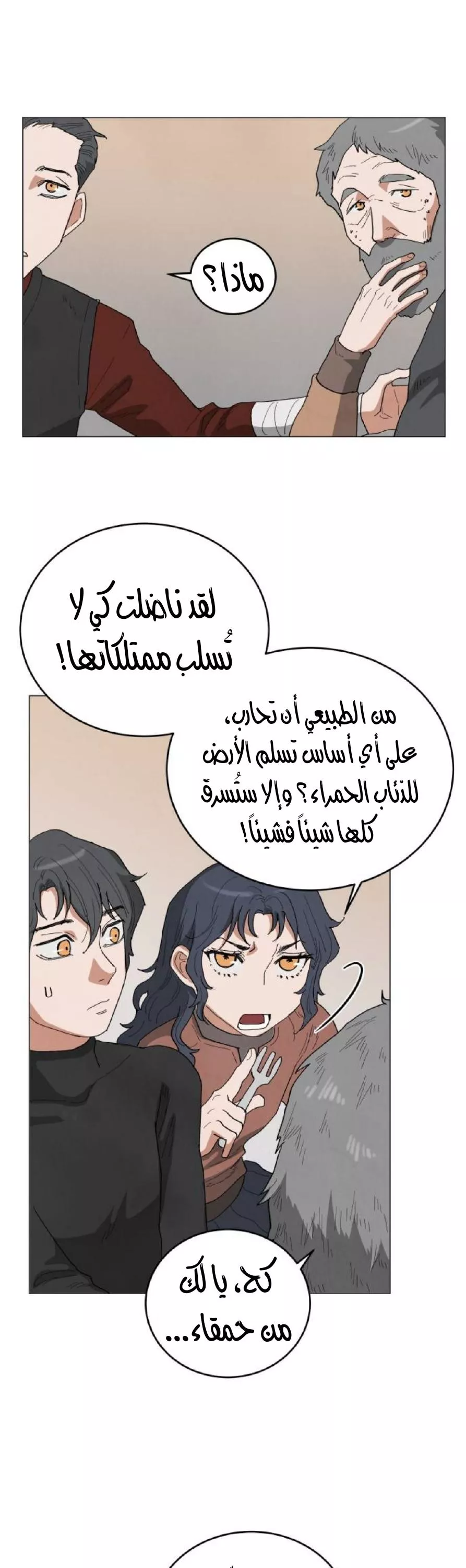 الصفحة 26