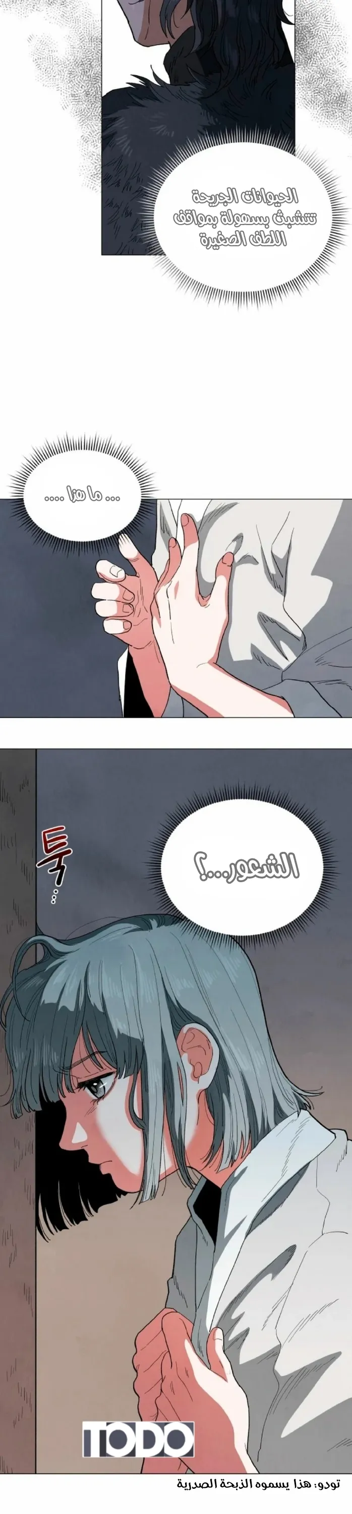 الصفحة 11