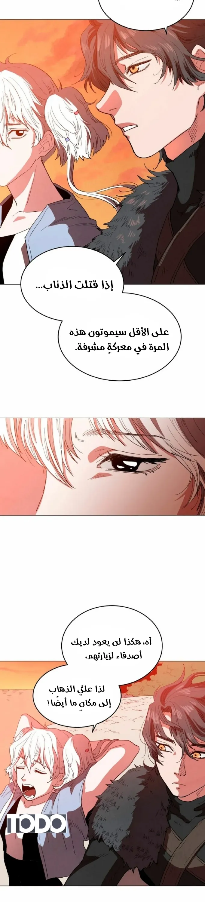 الصفحة 17