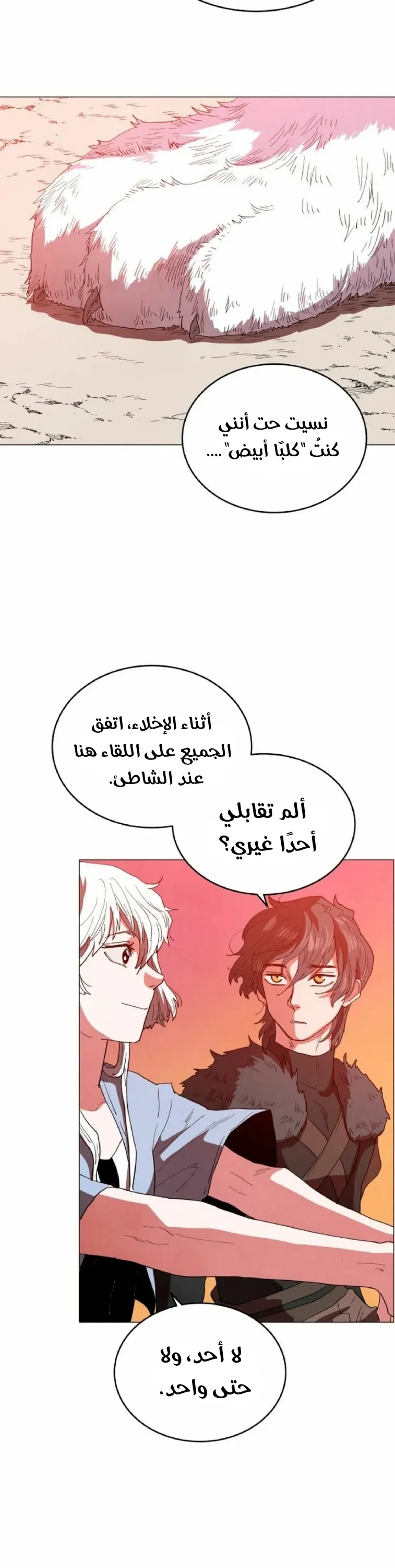 الصفحة 19