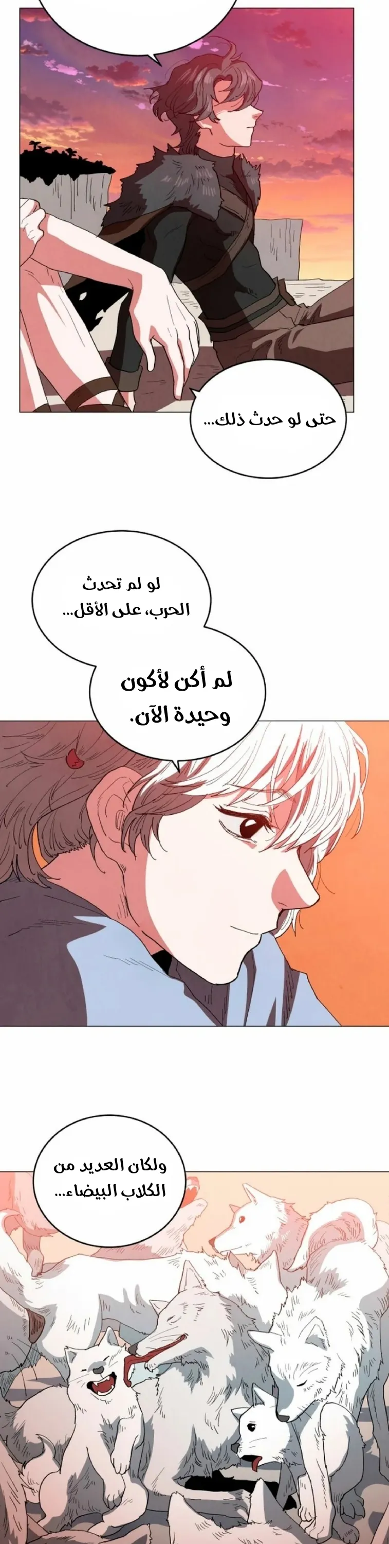 الصفحة 22