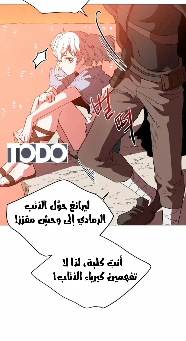 الصفحة 24