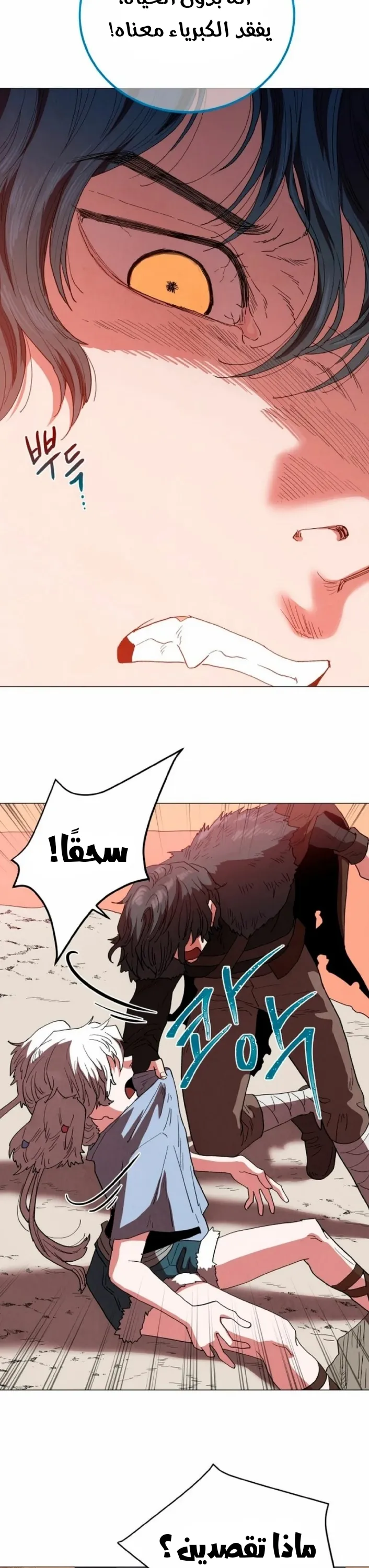 الصفحة 28