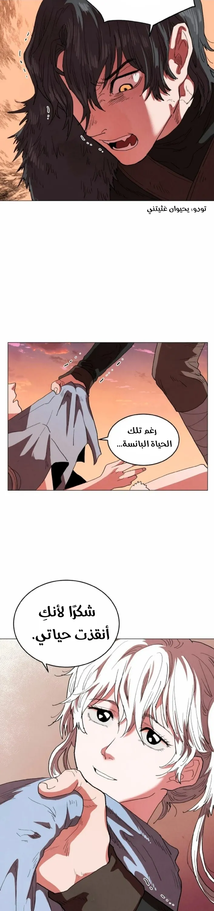 الصفحة 29