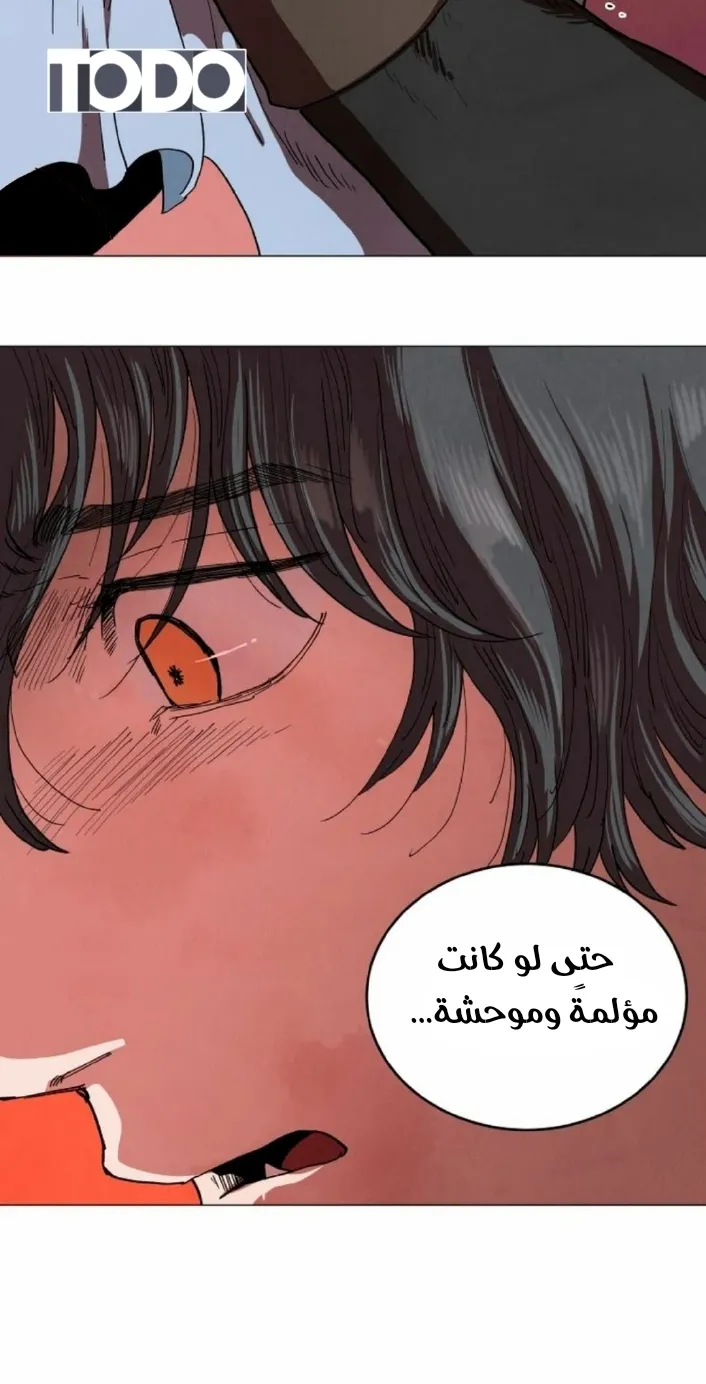 الصفحة 30