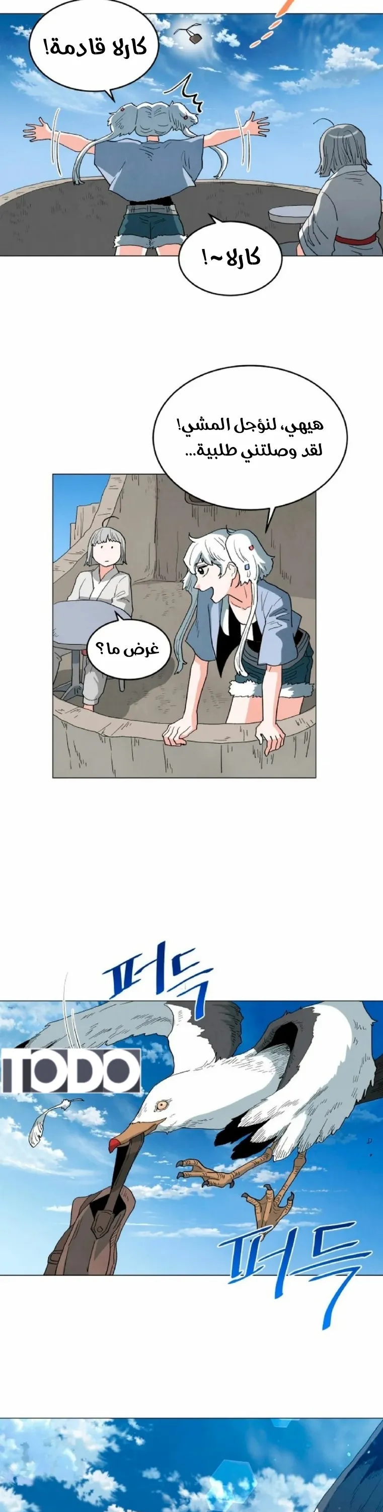 الصفحة 11
