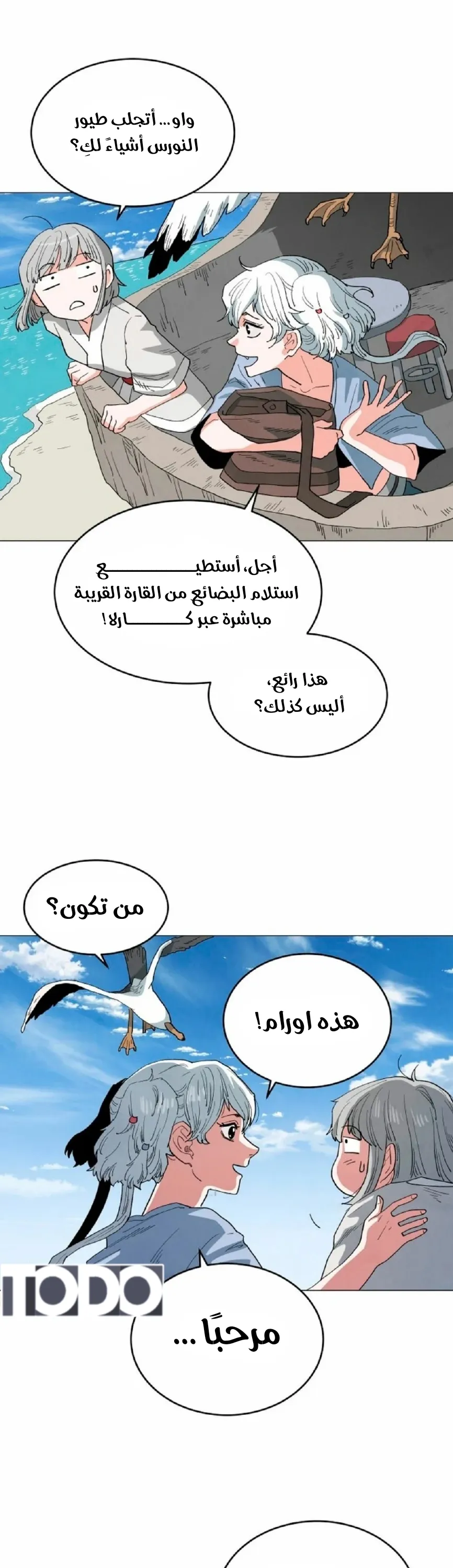 الصفحة 13