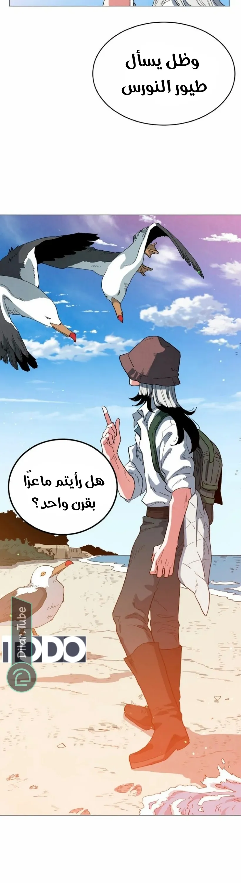 الصفحة 21