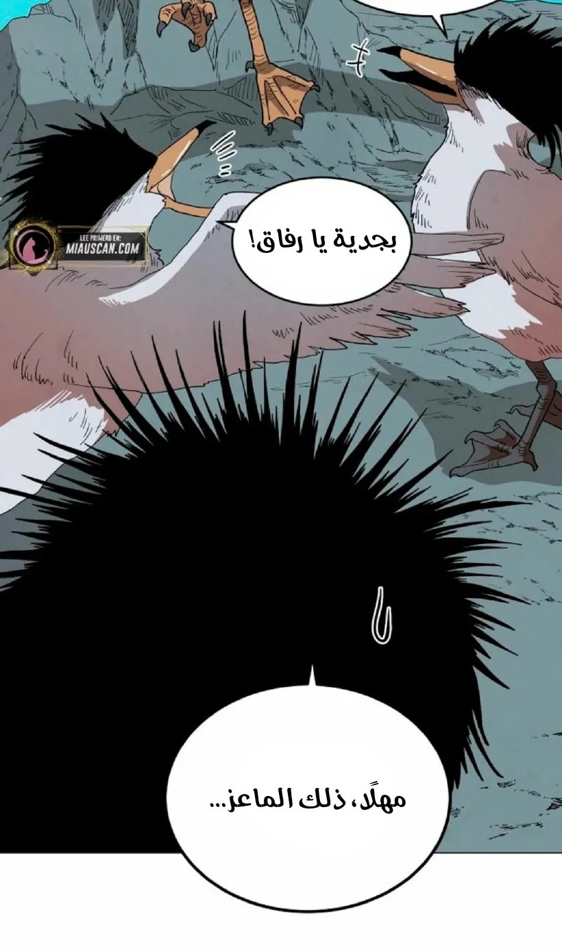 الصفحة 24