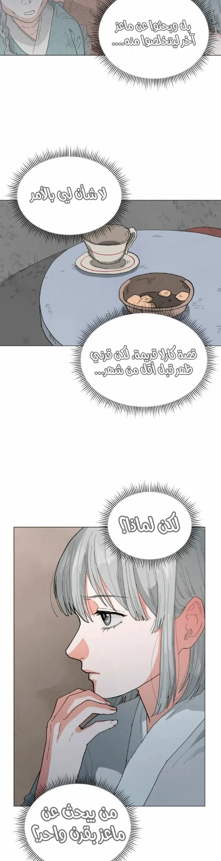 الصفحة 29