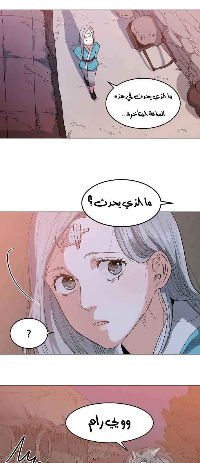 الصفحة 13