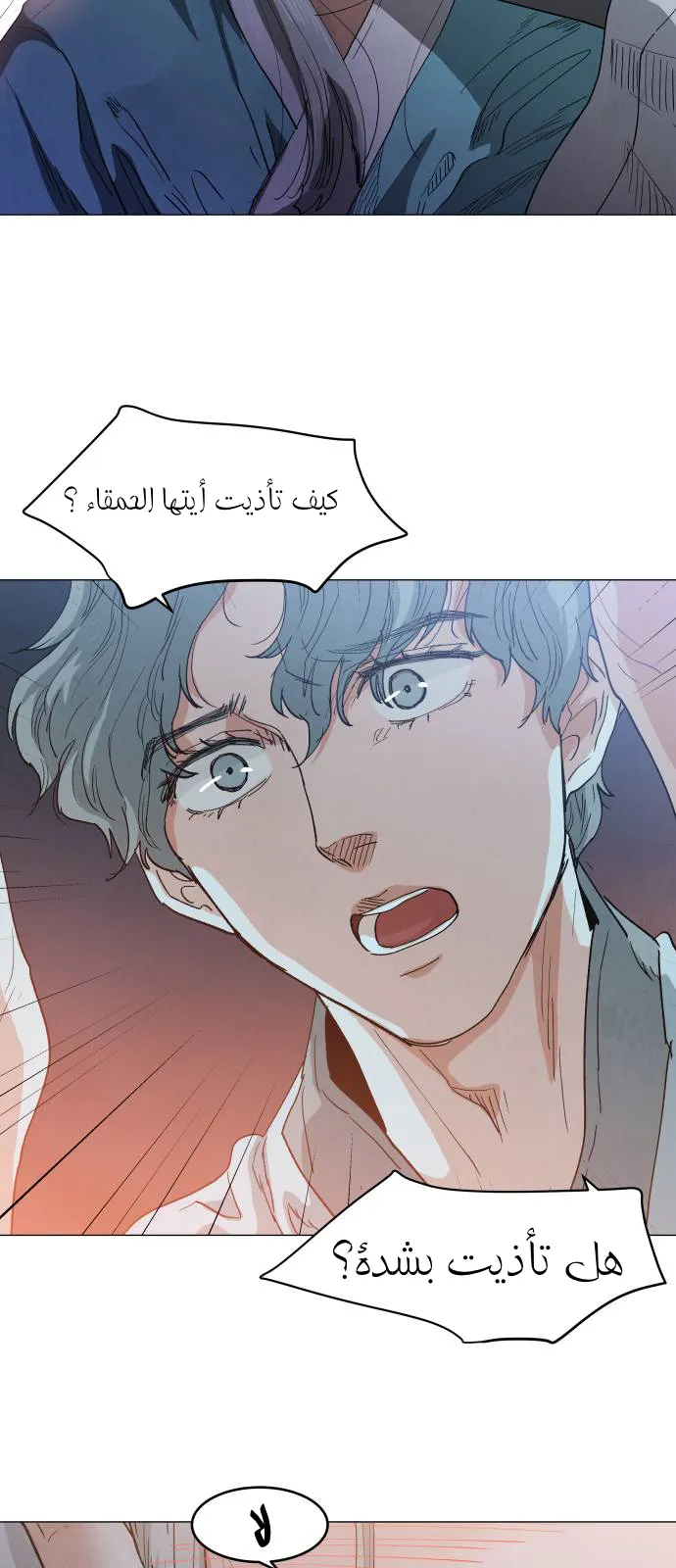 الصفحة 17